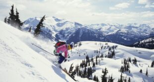 cursuri ski