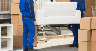 Firma Transport Mobila Brasov